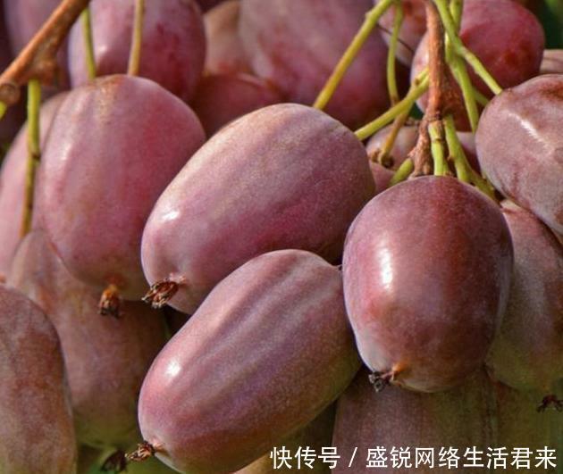  「我国」永别了，红薯！我国伟大新品一炮走红！比黄金还贵，一