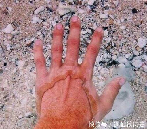 世界上最干净的湖泊有多美 第四张图看半天才看懂