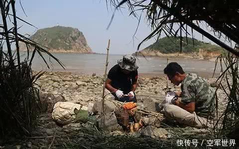 奖金300万！荒岛生存两年，女神、工具只能选一个，你会怎么选