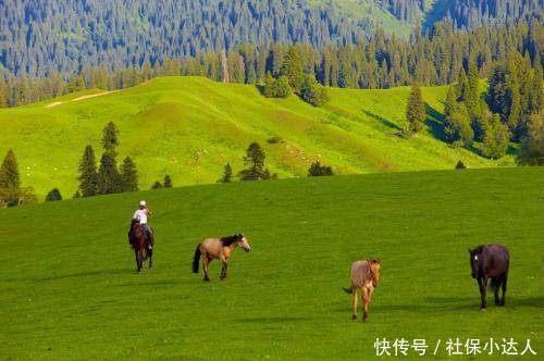  「待遇」对于没有正式工作单位的人，如何缴纳社保？