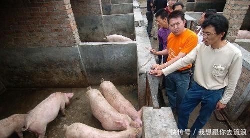  [养殖场]2019年，农村禁养新规，这3类已被列入禁养范围，农民要