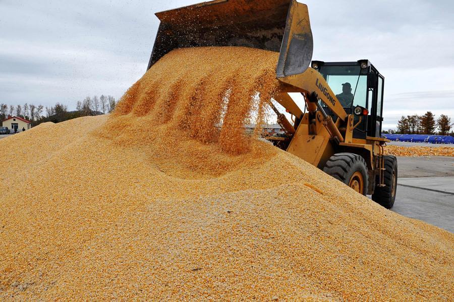  反对@未来中国，如果粮价涨到10元是好是坏为什么有农民会反对