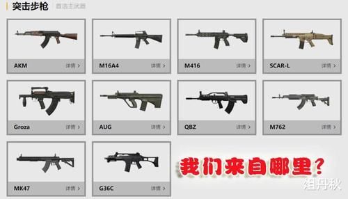  「步枪」刺激战场10把步枪来自哪美国入选4把，中国只有1把冷门枪