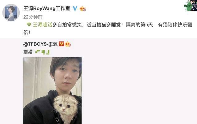  粉丝@王源在阳光下炫耀他的新猫！粉丝们看到他准备的贵宾巢都嫉妒