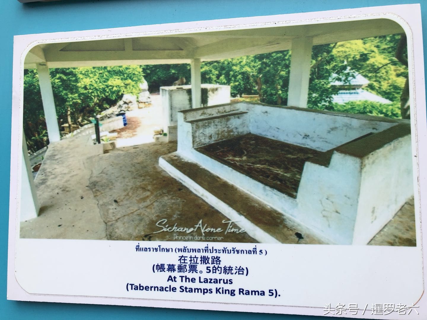 泰国景区的中文翻译有点“雷人”!中国司机、宇宙洞穴到底是啥?