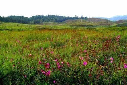 贵州的八条绝美公路，沿途有无数美景！自驾游的最佳之选~