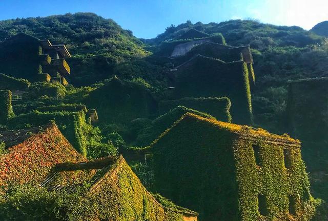 浙江这个小渔村,被人们“抛弃”20年后,如今美成了“绿野仙踪”