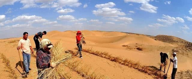 中国的治沙女“狂人”，治理沙漠33年，如今带领大家“吃”沙！