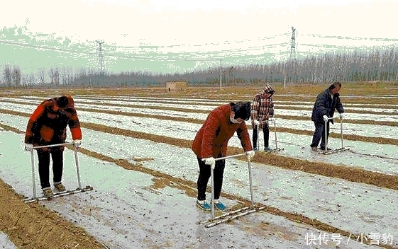 明年取消农业户口后, 农民要全部迁出吗? 土地咋办? 房子咋处理?