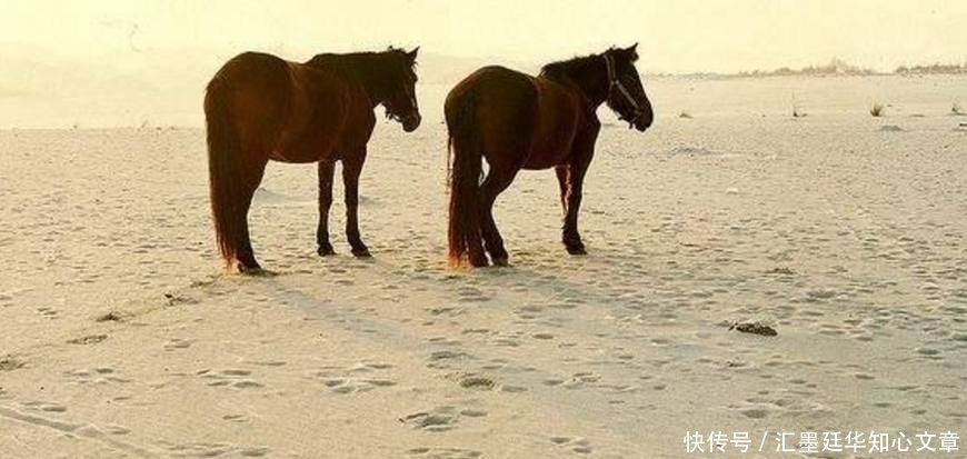  [我国]最值钱的沙漠在中国，曾经日本人想用大米换沙子，我国直