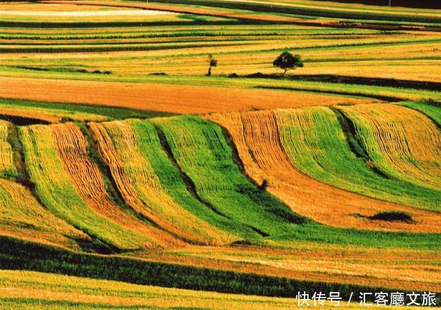 10处绝美秋季自驾打卡地，开车去看最美的风景