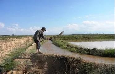洋井,传统的朝阳灌溉和饮水老物件!