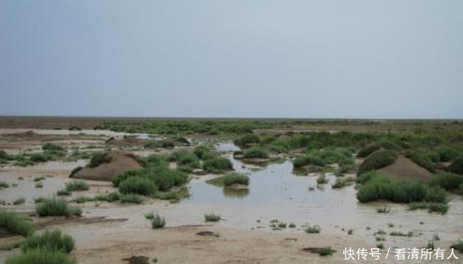 我国曾资源最丰富的湖泊,如今干涸到寸草不生,令人惋惜