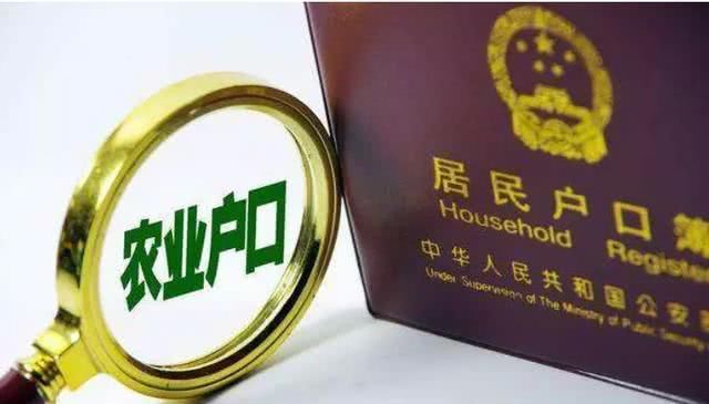  集体土地■拆迁补偿，看面积还是“数人头”？这些要明白