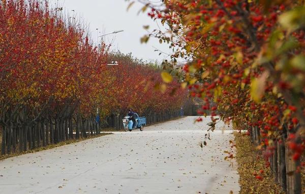 你都去过这些景区吗?2018年滨州新增10处3A级景区