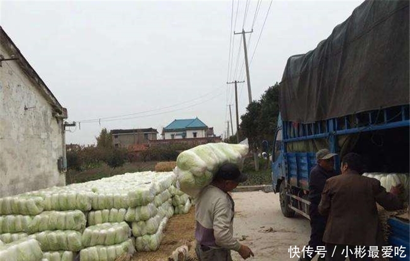  毛钱：一斤不到2毛钱，堆成山没法卖，农民：亩亏数百元，年难过