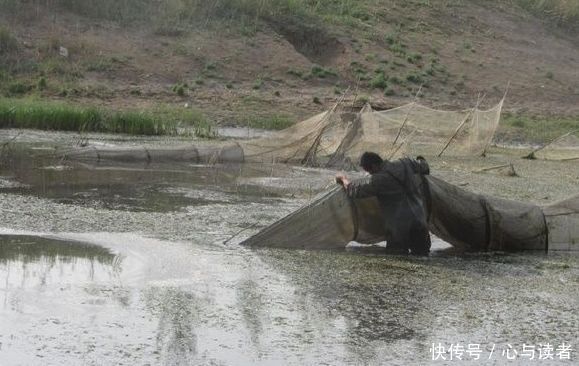 农村农民河边捕鱼收鱼笼，刚捞上来脸色突变！