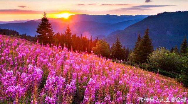 趣味测试:测一测你适合干什么工作?经商?从政