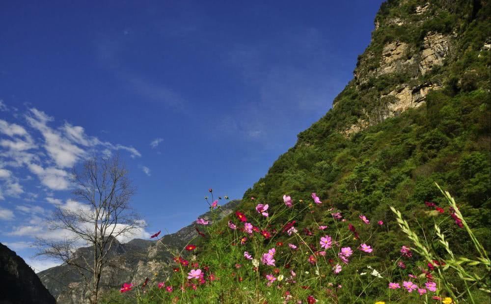 都去了稻城亚丁看神山，但亚丁景区旁边这座免费的山，你去过了吗