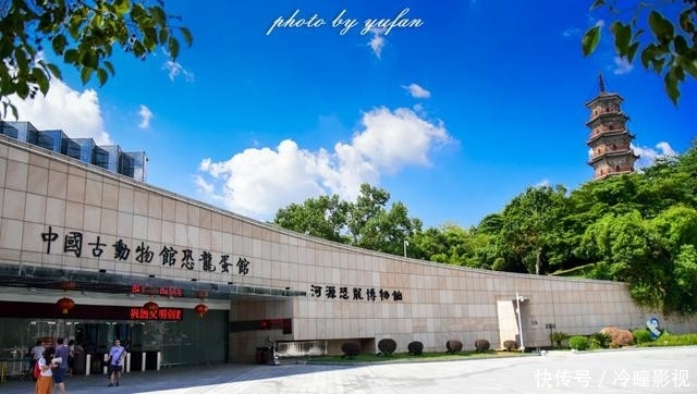  #恐龙蛋化石#世界上恐龙蛋最多的地方竟然就在广东，密密麻麻，