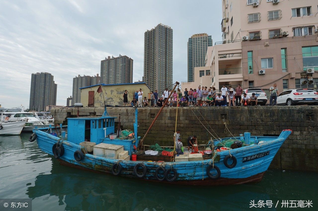 金九银十，青岛有种集体炫富叫开海，鲅鱼一条16斤真诱人