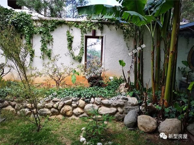 为啥我家的池塘不用循环系统也能清澈见底?原