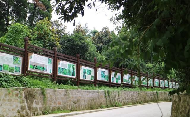  「信阳」河南气质最独特的城市，是中国十大宜居城市之一，你知