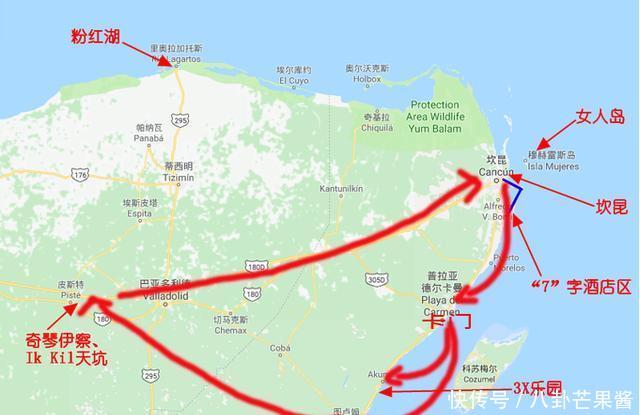  『乐园』在幽蓝的加勒比海边游神秘乐园（被疫情撞了腰的墨西哥行程05）