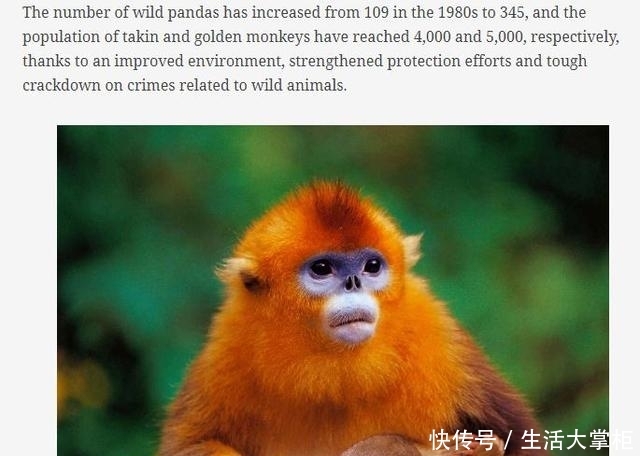 秦岭野生动植物数量不断增长 外媒:国家公园建设助力珍稀生物保