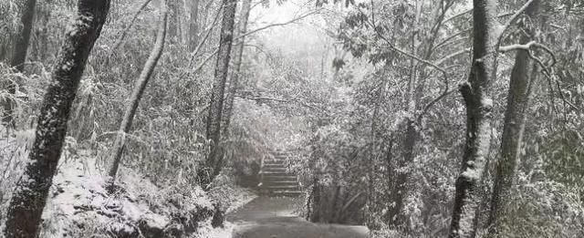 汉中汉江源雪景惹人醉，冬季赏雪不思归