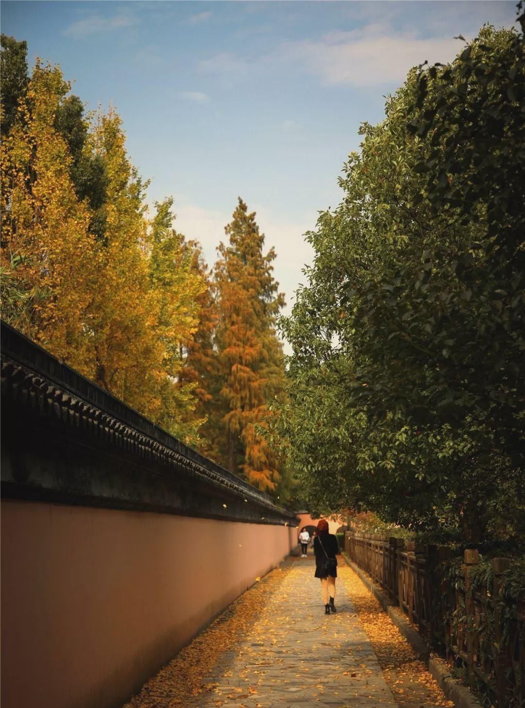 无锡高新区赏叶地图，这里藏着你不知道的最美秋色