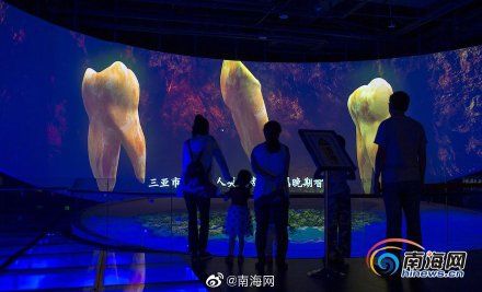  『恢复』组图丨每日限额2000人！今日起，海南省博物馆恢复对外开放
