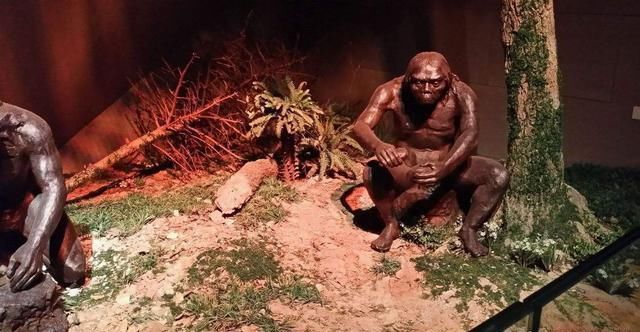 复旦教授:古中国人已灭绝，现代中国人源自非洲，老外犀利评论