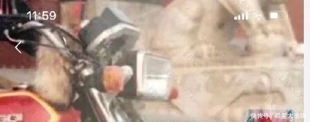  [进阶]周冬雨的娱乐圈进阶之路：从被群嘲到封神，她只做了一件事
