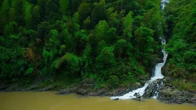  『十万大山』广西为什么号称十万大山？是真的有十万座大山吗？