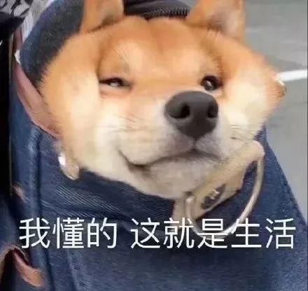 年轻人看淘宝直播,就像爸妈当年沉迷电视购物