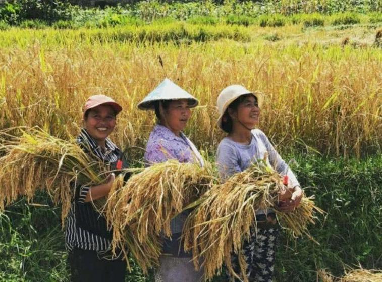 如果城里农村各有房，属于“一户多宅”吗？涨知识了