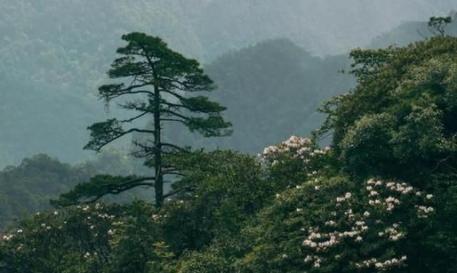 名气远不如黄山，并称“姐妹山”，却有着更美的景色