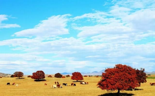 专属于十月的旅行目的地 你知道几个？
