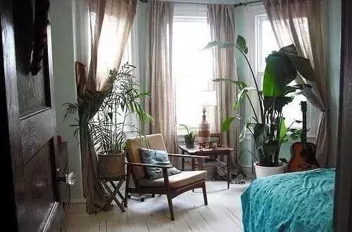  【自带】自带镇宅安家的30种大植物，满满都是安全感