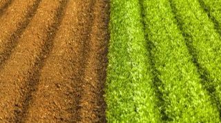  【承包】为什么现在一些老板喜欢到农村租地，而且要30年以上的