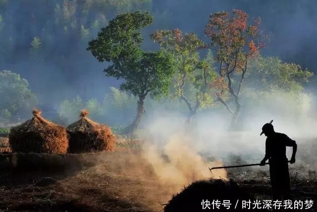 丽水有个隐藏在大山深处的世外桃源，带家人去走走吧