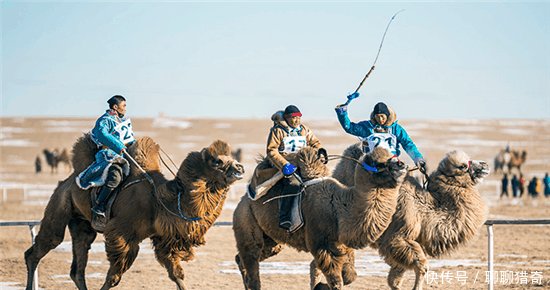 外蒙古与内蒙古牧民冬季生活的对比, 差距太大
