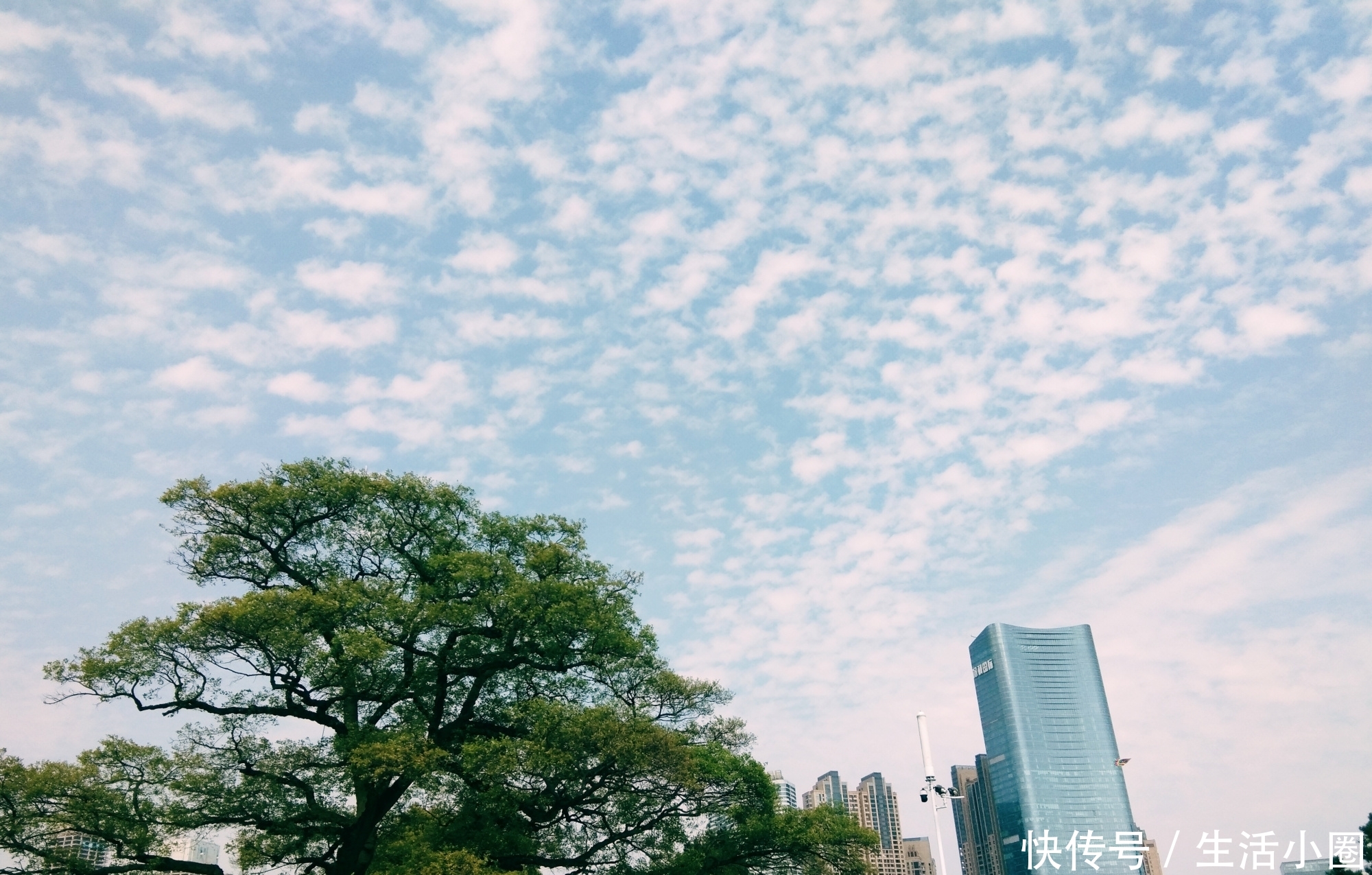 橘子洲,长沙必去的景点