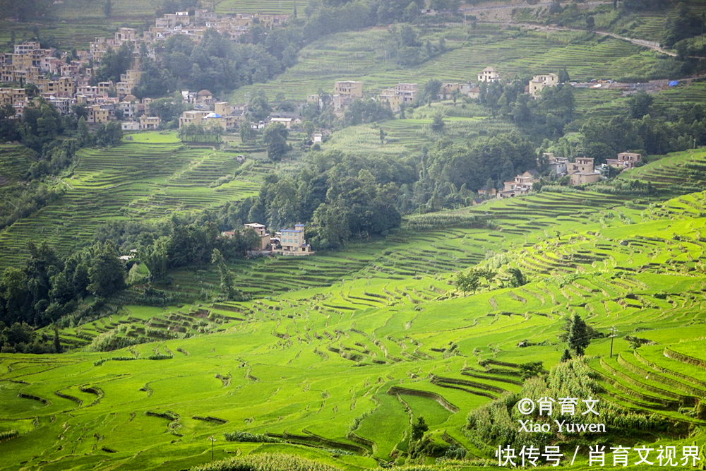 元阳梯田，有17多万亩，被命名为绿水青山就是金山银山实践基地