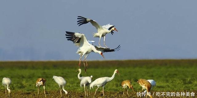 中国最低调的省会城市, 有许多世界著名景点, 被誉“东方西雅图”