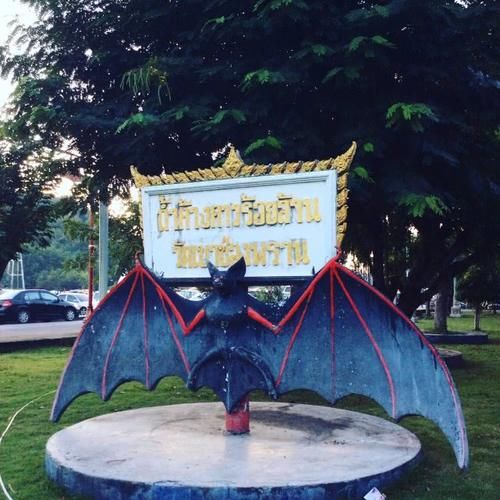 偏远农村一座古庙,300多万只蝙蝠,成了这里的住客