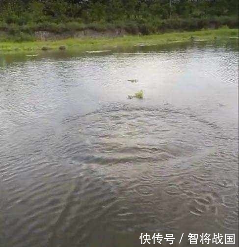  「收获」男子用矿泉水瓶做钓鱼神器，第二天收获喜人！