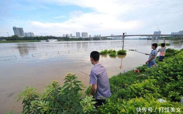 「水体溶氧量」夏初高温天气下,好钓鱼吗?