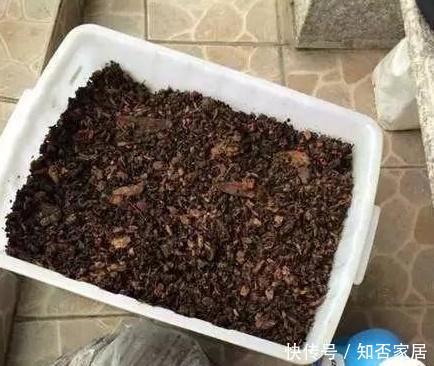 「酒渣」泡酒后的酒渣能当花肥吗